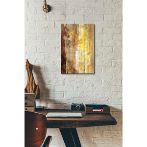 'Golden Glow I' by Sisa Jasper Canvas Wall Art,18 x 12