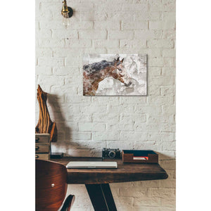 'Rustic Brown Horse' by Irena Orlov, Canvas Wall Art,18 x 12