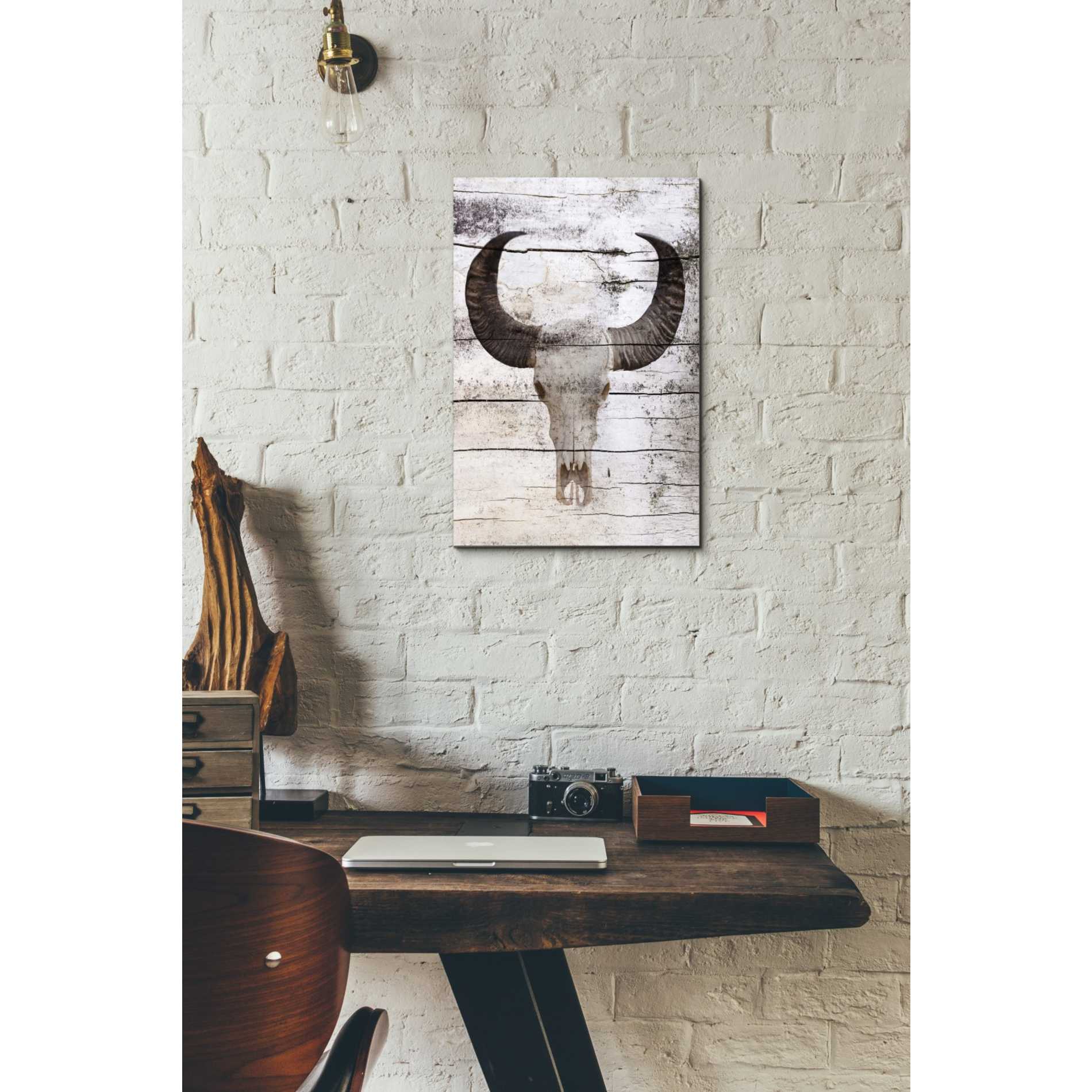 'Bullock Skull' by Irena Orlov, Canvas Wall Art,12 x 18