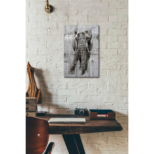 'ELEPHANT Portrait' by Irena Orlov, Canvas Wall Art,12 x 18