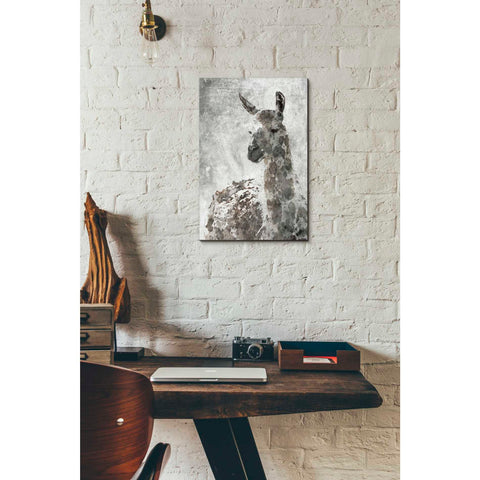 Image of 'Llama' by Irena Orlov, Canvas Wall Art,12 x 18