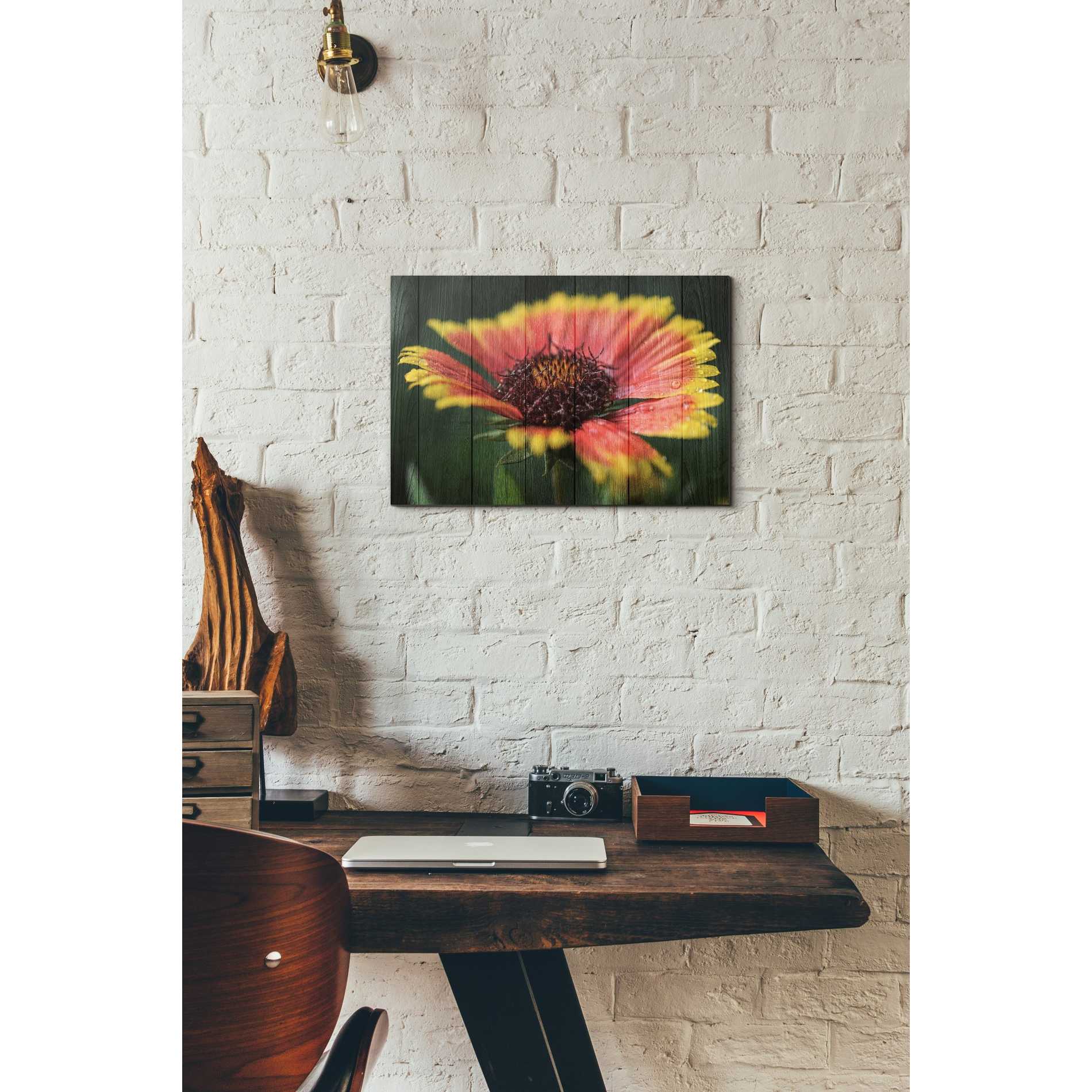 'Wood Series: Sunburst' Canvas Wall Art,12 x 18