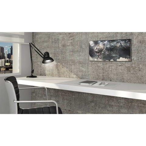Image of 'Coma' by Cameron Gray, Canvas Wall Art,12 x 24