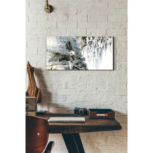 'Bald Eagle Over Cascading Waterfalls' by River Han, Canvas Wall Art,12 x 24