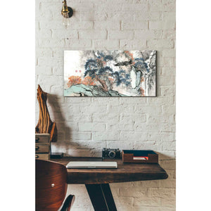 'Bird's Eye View' by River Han, Canvas Wall Art,12 x 24