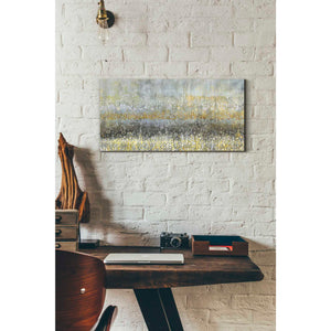 'Rain Abstract II Crop' by Danhui Nai, Canvas Wall Art,12 x 24