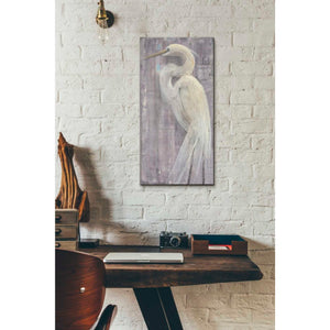'Coastal Egret II Legs' by Albena Hristova, Canvas Wall Art,12 x 24