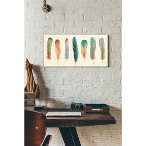 'Feather Tales VII' by Daphne Brissonet, Canvas Wall Art,12 x 24