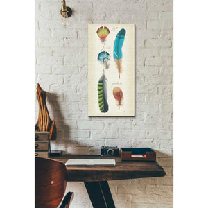 'Ornithology IV Panel' by Daphne Brissonet, Canvas Wall Art,12 x 24