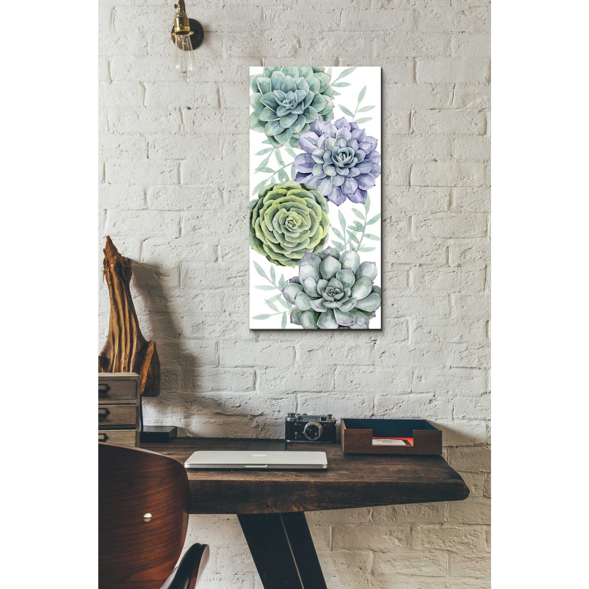 'Succulent Collection B' by Grace Popp Canvas Wall Art,12 x 24