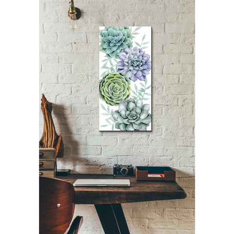 Image of 'Succulent Collection B' by Grace Popp Canvas Wall Art,12 x 24