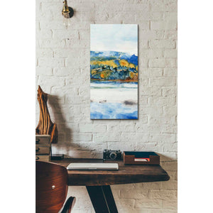 'Island Mist II' by Tim O'Toole Canvas Wall Art,12 x 24