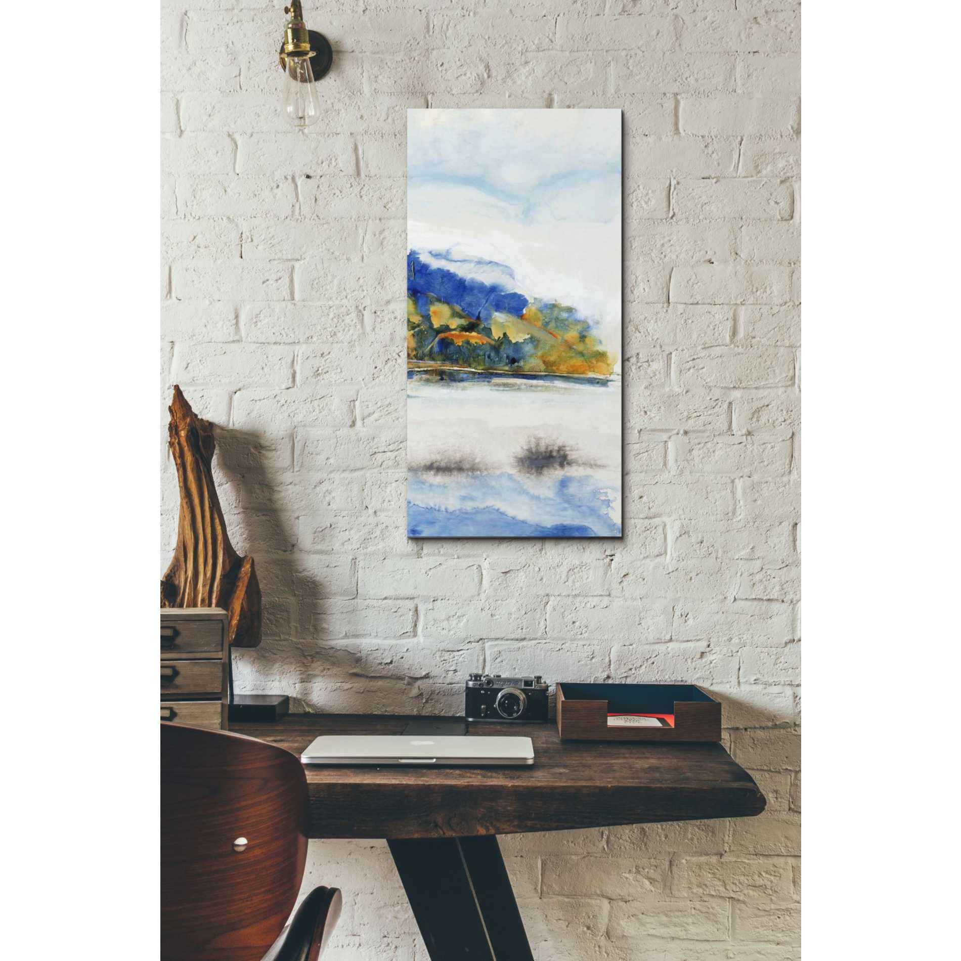 'Island Mist III' by Tim O'Toole Canvas Wall Art,12 x 24