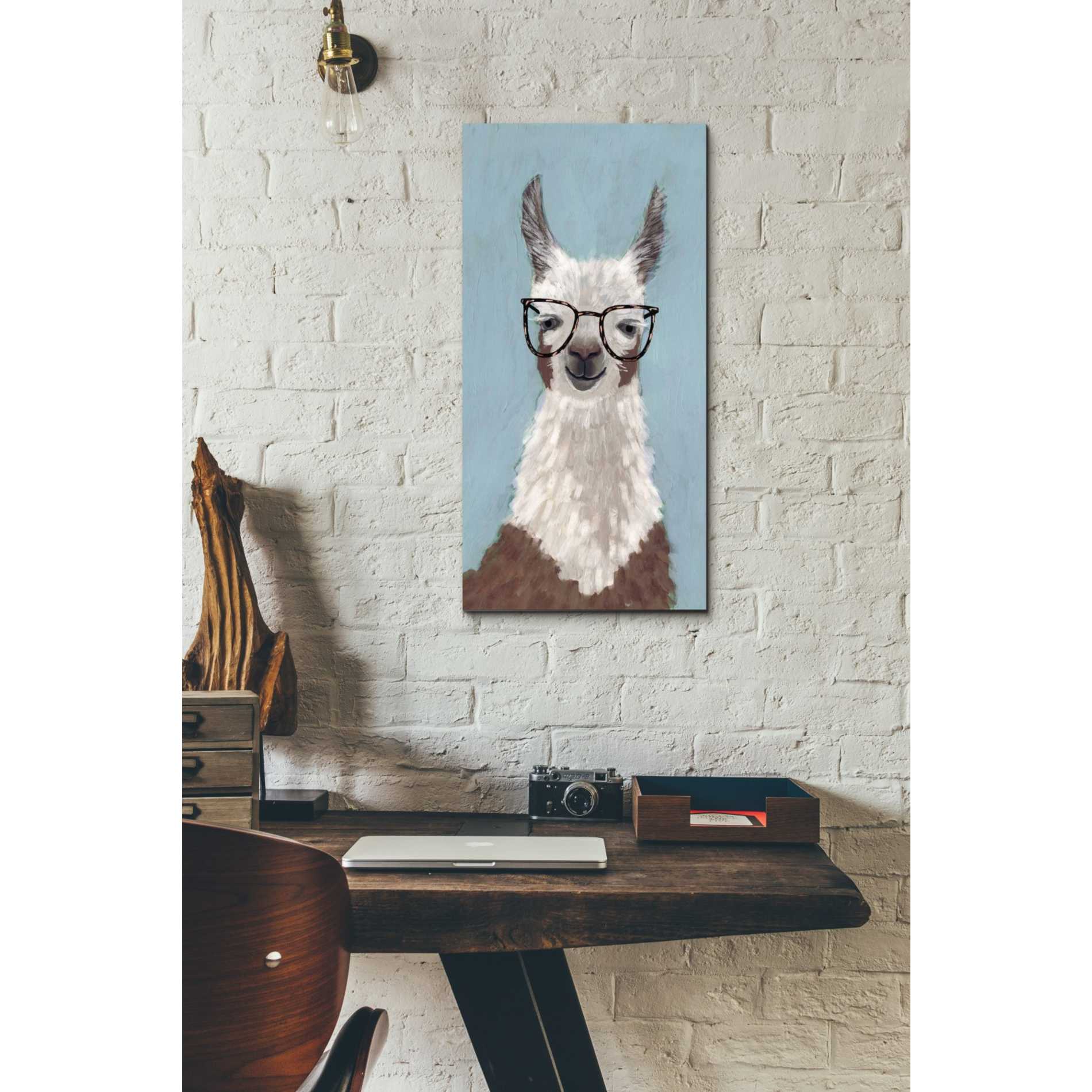 'Llama Specs I' by Victoria Borges Canvas Wall Art,12 x 24