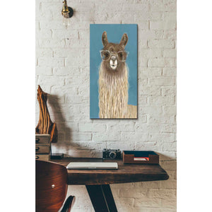 'Llama Specs IV' by Victoria Borges Canvas Wall Art,12 x 24