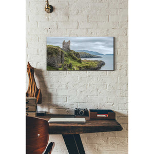 'Lone,' Canvas Wall Art,12 x 24