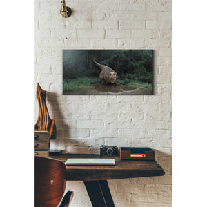 'Watering Hole' Canvas Wall Art,12 x 24
