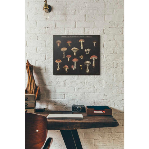 Image of 'Mushroom Chart I' by Wild Apple Portfolio, Canvas Wall Art,16 x 18