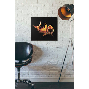 'White Shark' by Michael StewArt, Canvas Wall Art,16 x 18
