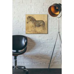 'Global Zebra Light Crop' by Cheri Blum, Canvas Wall Art,16 x 18