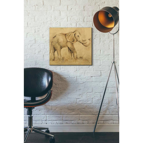 Image of 'Global Elephant Light Crop' by Cheri Blum, Canvas Wall Art,16 x 18