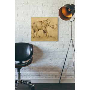 'Global Elephant Light Crop' by Cheri Blum, Canvas Wall Art,16 x 18