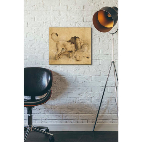 Image of 'Global Lions Light Crop' by Cheri Blum, Canvas Wall Art,16 x 18
