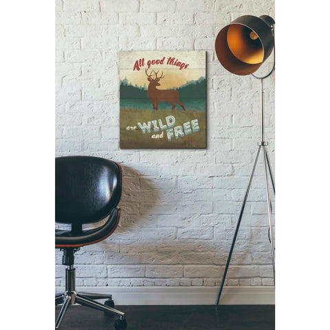 Image of 'Discover the Wild II' by Janelle Penner, Canvas Wall Art,16 x 18