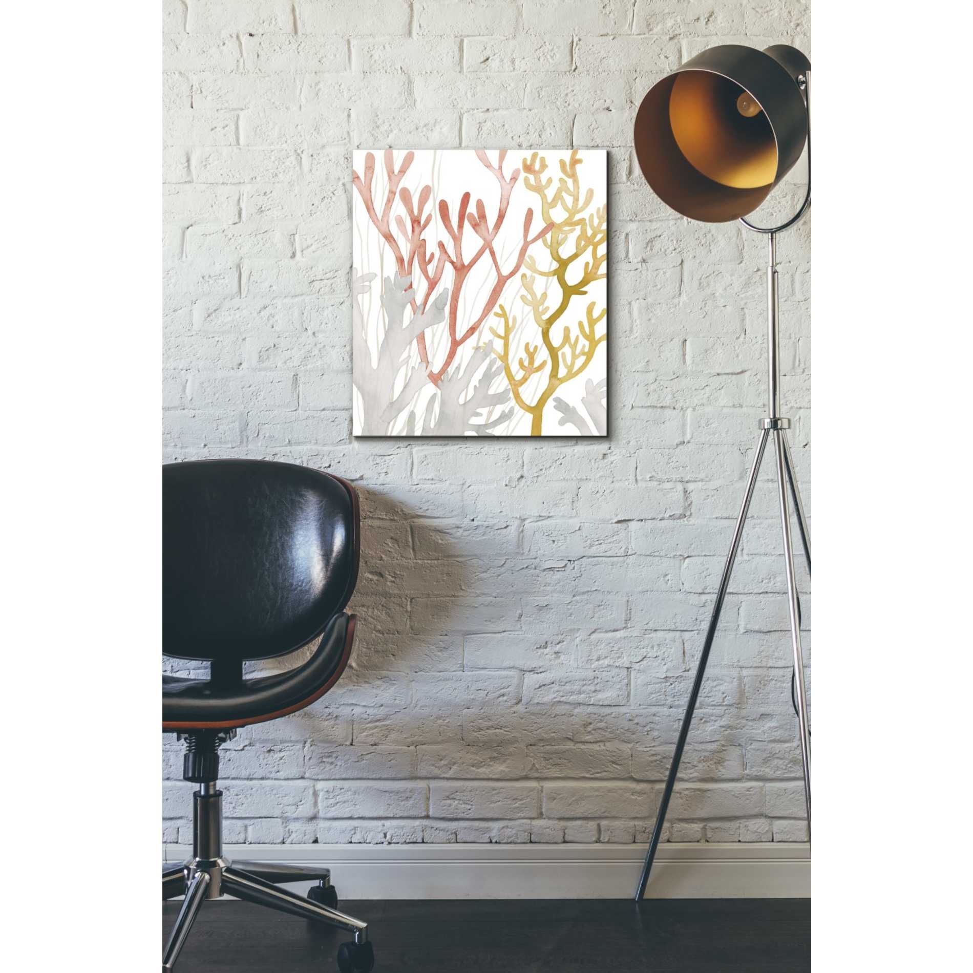 'Desert Coral I' by Grace Popp Canvas Wall Art,16 x 18