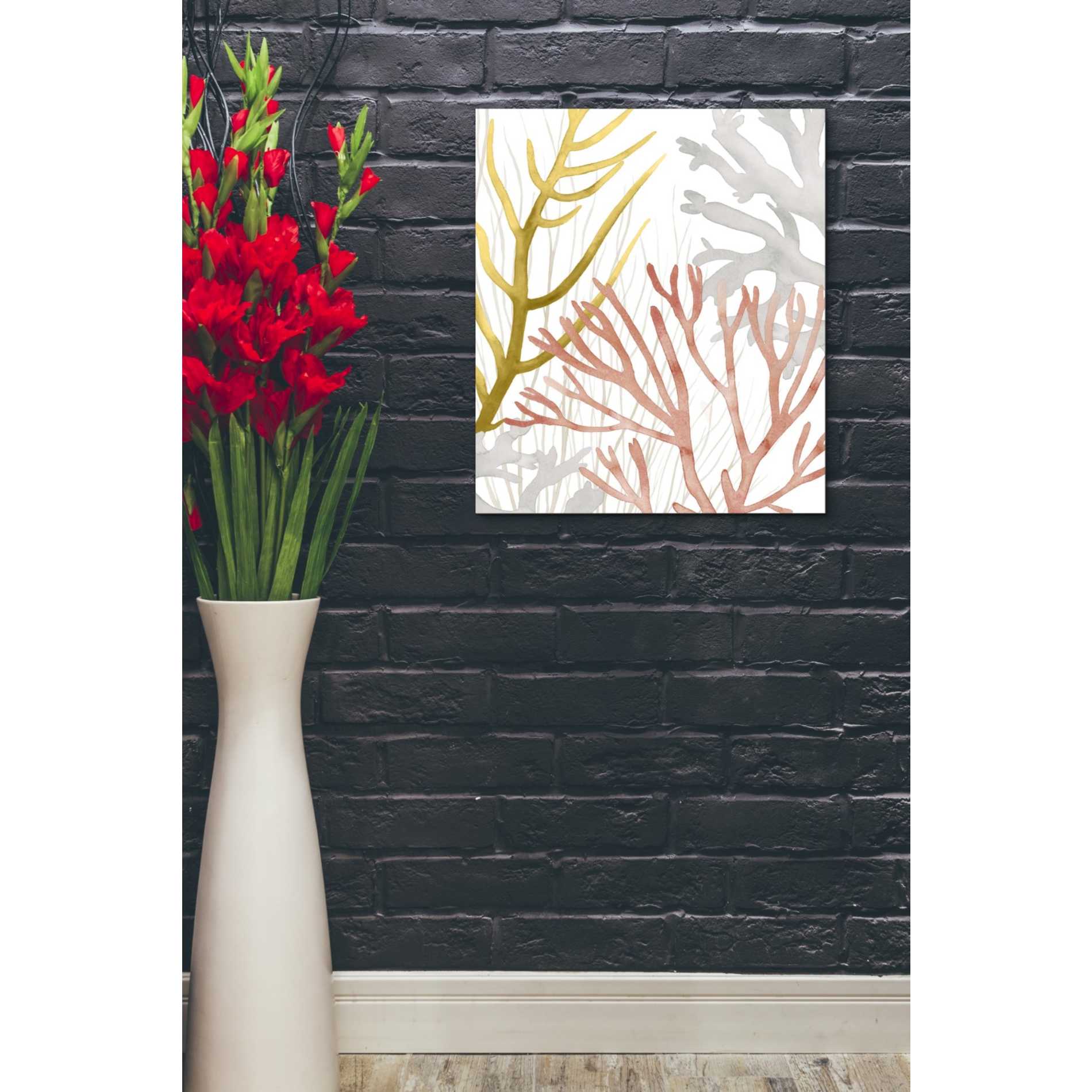 'Desert Coral II' by Grace Popp Canvas Wall Art,16 x 18