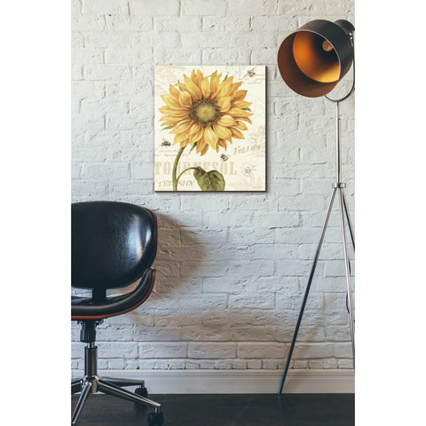 Image of 'Under The Sun I' by Lisa Audit, Canvas Wall Art,,16 x 18