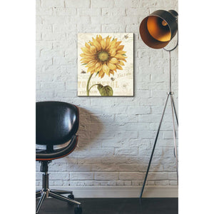 'Under The Sun I' by Lisa Audit, Canvas Wall Art,,16 x 18