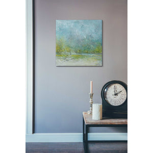 'Freedom' by Samedin Asllani, Canvas Wall Art,18 x 18