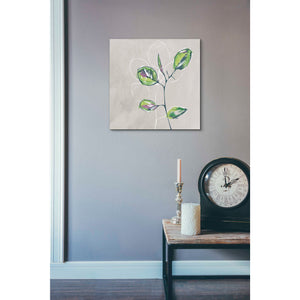 'Eucalyptus on Sand' by Linda Woods, Canvas Wall Art,18 x 18
