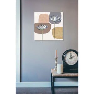 'Soft Floral I' by Linda Woods, Canvas Wall Art,18 x 18
