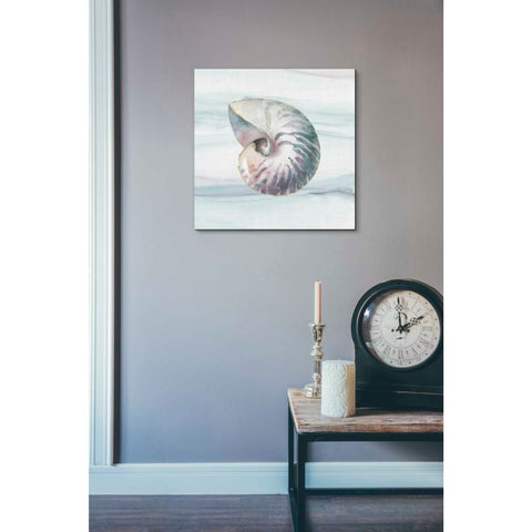 Image of 'Ocean Dream V' by Lisa Audit, Canvas Wall Art,,18 x 18