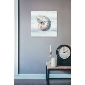 'Ocean Dream V' by Lisa Audit, Canvas Wall Art,,18 x 18