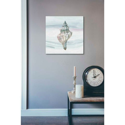Image of 'Ocean Dream VIII' by Lisa Audit, Canvas Wall Art,,18 x 18