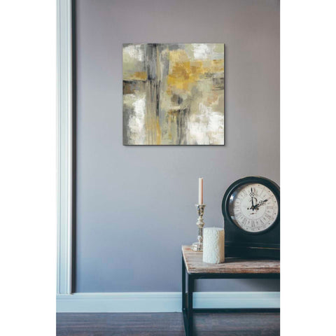 Image of 'Sun and Rain' by Silvia Vassileva, Canvas Wall Art,18 x 18