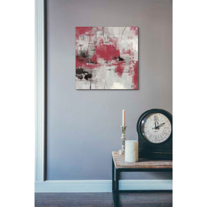 'Stone Gardens III Red' by Silvia Vassileva, Canvas Wall Art,18 x 18