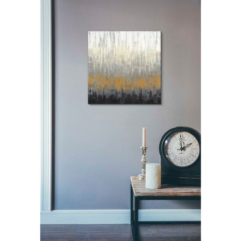 Image of 'Rain On The Asphalt' by Silvia Vassileva, Canvas Wall Art,18 x 18
