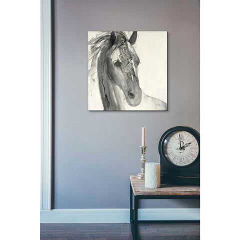 Image of 'In the Wind I' by Albena Hristova, Canvas Wall Art,18 x 18