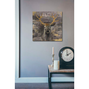 'The Leader Gold' by Albena Hristova, Canvas Wall Art,18 x 18
