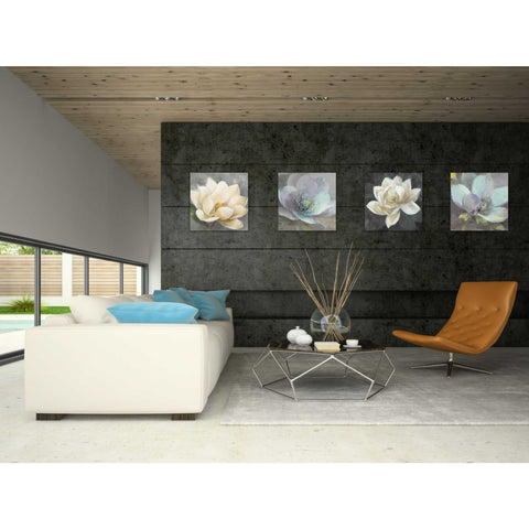 Image of 'Magnolia Blossom on Gray' by Albena Hristova, Canvas Wall Art,18 x 18