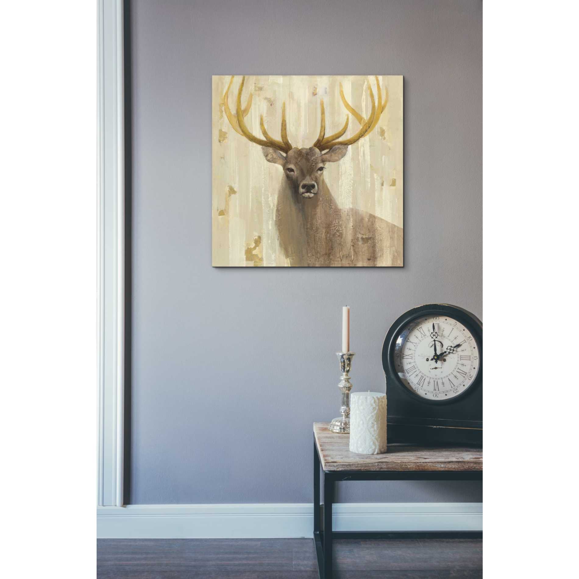 'Forest King' by Albena Hristova, Canvas Wall Art,18 x 18