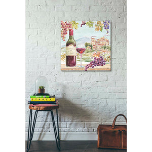 'Wine Country III' by Daphne Brissonet, Canvas Wall Art,18 x 18