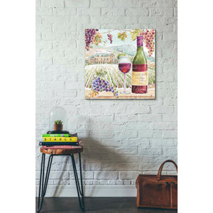'Wine Country IV' by Daphne Brissonet, Canvas Wall Art,18 x 18