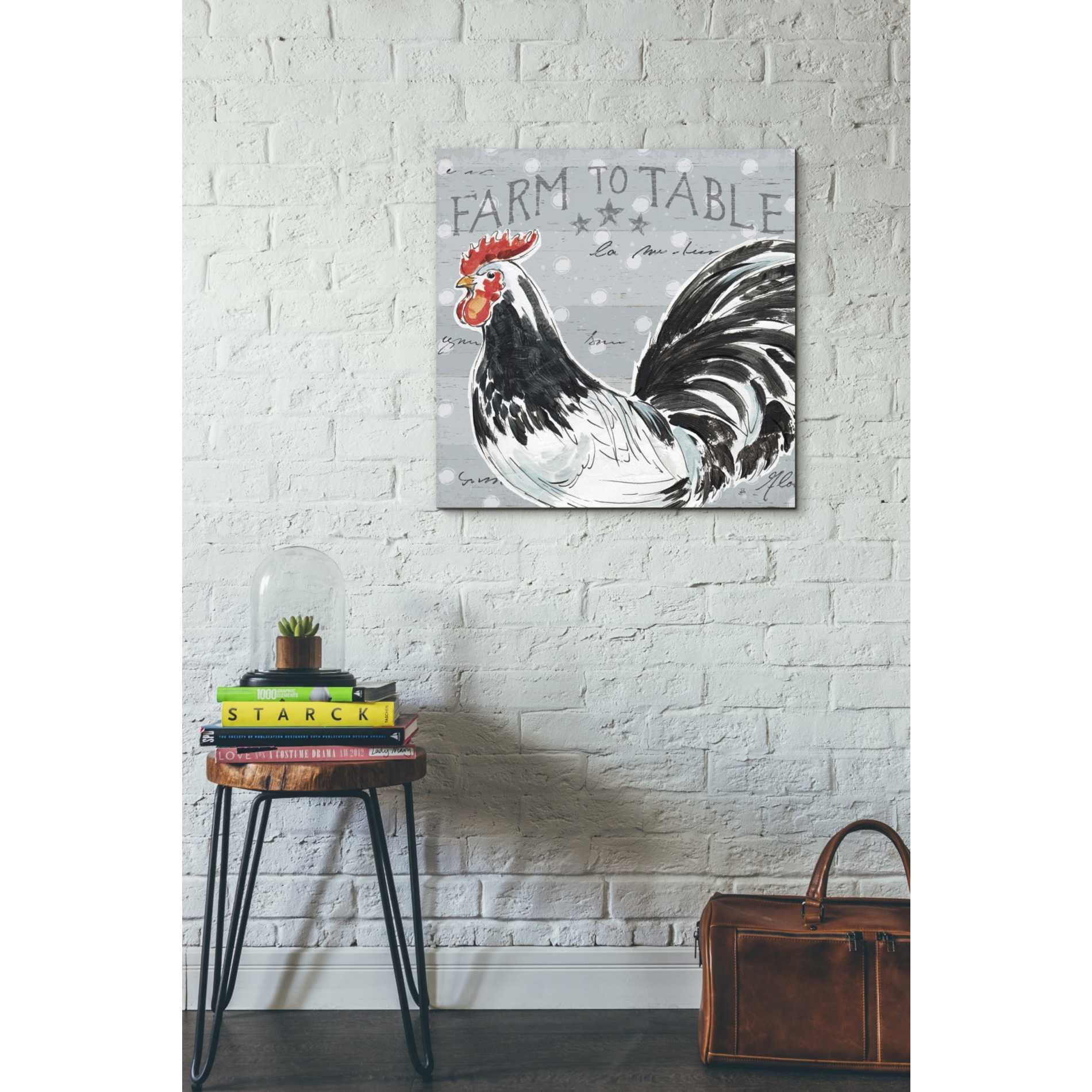 'Roosters Call III' by Daphne Brissonet, Canvas Wall Art,18 x 18