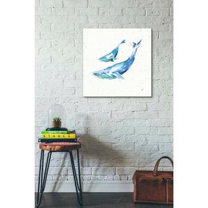 'Maritime VIII' by Daphne Brissonet, Canvas Wall Art,18 x 18