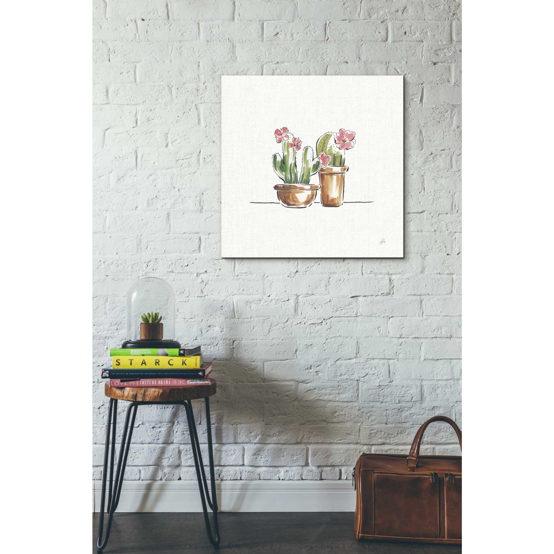 'Desert Bloom VI' by Daphne Brissonet, Canvas Wall Art,18 x 18